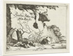 Cup of an ox behind a rock by Nicolaes Visscher I
