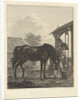 Man lets a horse drink from a bucket by Jan Anthonie Langendijk Dzn