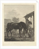 Man lets a horse drink from a bucket by Jan Anthonie Langendijk Dzn
