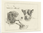 Study Sheet with two dog heads, paws dog and head of hare by Jan Dasveldt