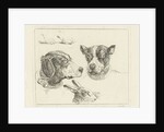 Study Sheet with two dog heads, paws dog and head of hare by Jan Dasveldt