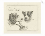 Study Sheet with two dog heads, paws dog and head of hare by Jan Dasveldt