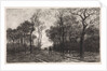 Three people on a road lined with trees by Elias Stark