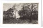 Three people on a road lined with trees by Elias Stark