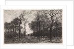 Three people on a road lined with trees by Elias Stark