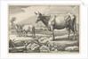 Pasture with cows by Nicolaes Visscher I