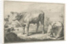 Pasture with two bulls by Nicolaes Visscher I