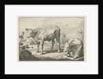 Pasture with two bulls by Nicolaes Visscher I