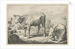 Pasture with two bulls by Nicolaes Visscher I