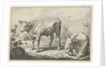 Pasture with two bulls by Nicolaes Visscher I