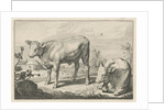 Pasture with two bulls by Nicolaes Visscher I