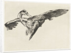A falcon is a heron in flight by Guillaume Anne van der Brugghen