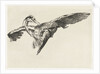 A falcon is a heron in flight by Guillaume Anne van der Brugghen