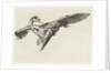 A falcon is a heron in flight by Guillaume Anne van der Brugghen