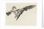 A falcon is a heron in flight by Guillaume Anne van der Brugghen