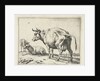 A cow by Paulus Potter