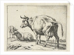 A cow by Paulus Potter
