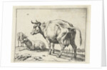 A cow by Paulus Potter