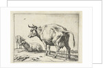 A cow by Paulus Potter