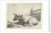 Lying cow near a fence by Paulus Potter