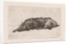 Sleeping dog by Jan Weissenbruch