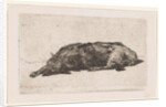 Sleeping dog by Jan Weissenbruch