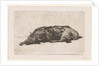 Sleeping dog by Jan Weissenbruch
