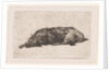 Sleeping dog by Jan Weissenbruch