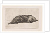 Sleeping dog by Jan Weissenbruch