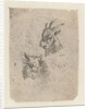 Heads of a goat and a cow by Nicolaes Pietersz. Berchem