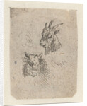 Heads of a goat and a cow by Nicolaes Pietersz. Berchem