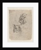 Heads of a goat and a cow by Nicolaes Pietersz. Berchem