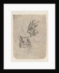 Heads of a goat and a cow by Nicolaes Pietersz. Berchem