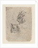 Heads of a goat and a cow by Nicolaes Pietersz. Berchem