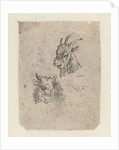 Heads of a goat and a cow by Nicolaes Pietersz. Berchem