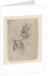 Heads of a goat and a cow by Nicolaes Pietersz. Berchem