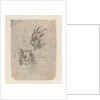 Heads of a goat and a cow by Nicolaes Pietersz. Berchem