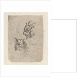 Heads of a goat and a cow by Nicolaes Pietersz. Berchem