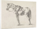 Saddled horse by Philips Wouwerman