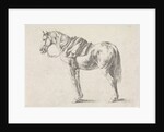 Saddled horse by Philips Wouwerman