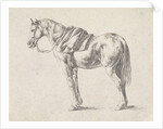 Saddled horse by Philips Wouwerman