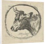 Cow's head in profile to the left by Simon Andreas Krausz