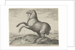 Horse from Scythia by Philips Galle
