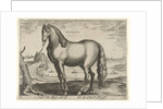 Horse from Brittany, Brittanus by Philips Galle