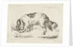 Drinking dog by Guillaume Anne van der Brugghen