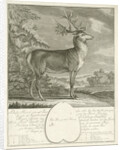 A deer by Johann Elias Ridinger