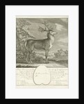 A deer by Johann Elias Ridinger