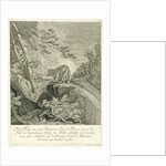 A fox with two tails by Johann Elias Ridinger