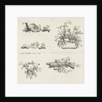 Journal with five vignettes by Willem Bilderdijk