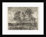 Three trees on a shore by Augustinus Jacobus Bernardus Wouters